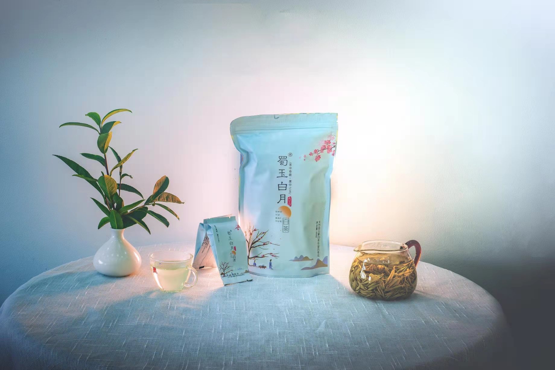 蜀玉白月白茶白葉一號1