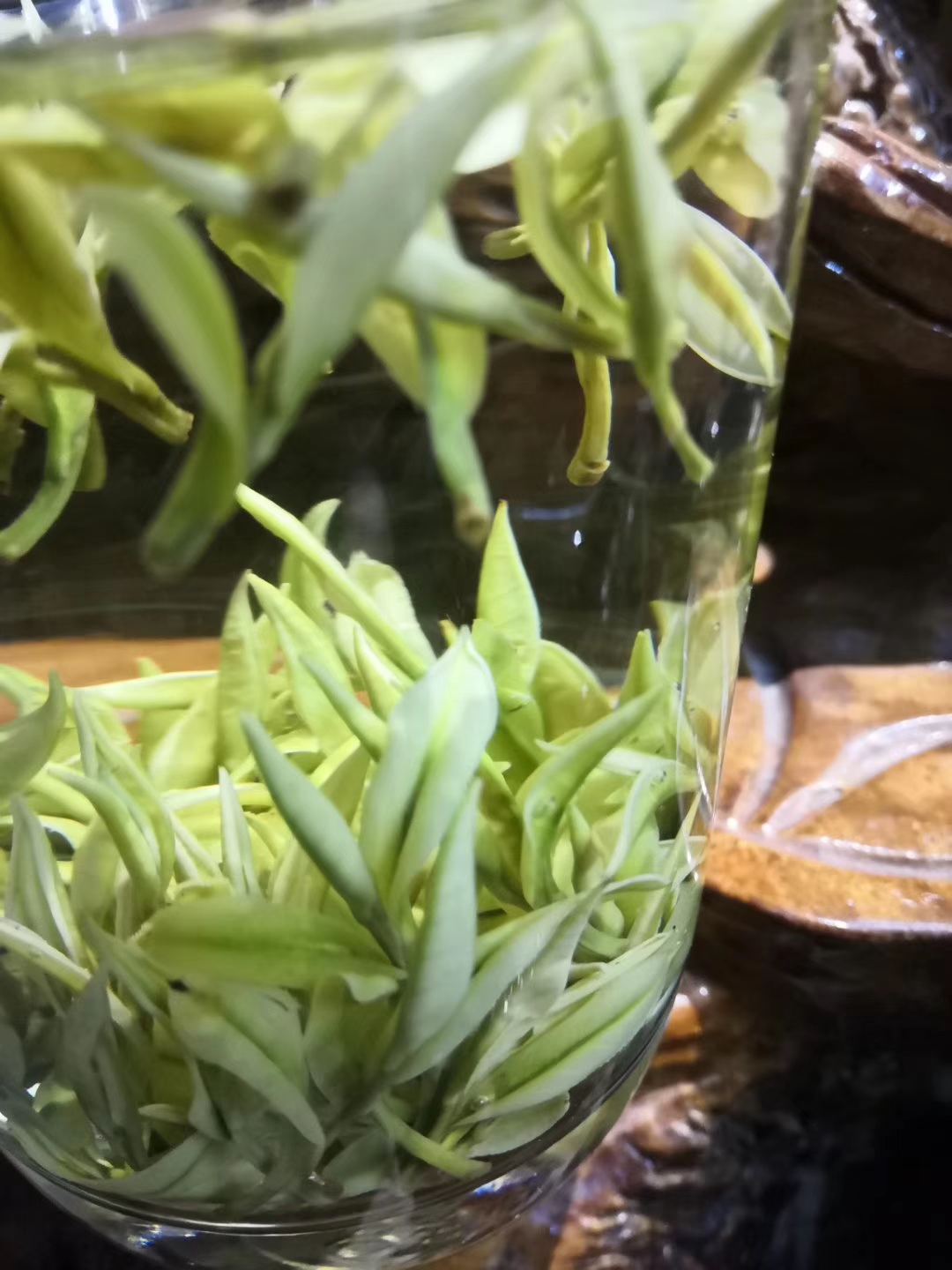蜀玉白月白茶白葉一號9