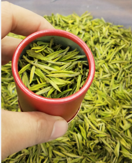 茶園7